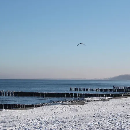 Modern In With Terrace, Fenced Garden דירה