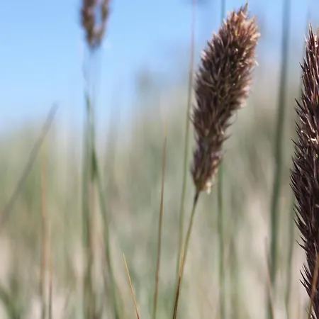 Modern In With Terrace, Fenced Garden 아파트 *