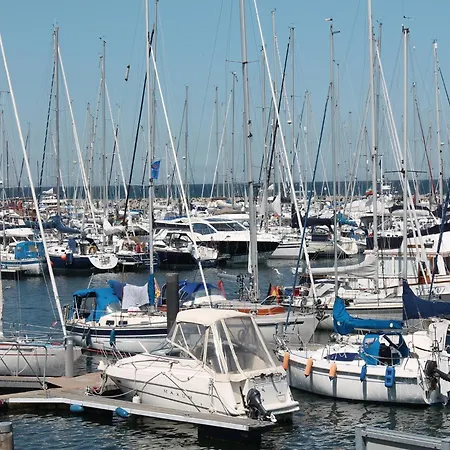 Modern In With Terrace, Fenced Garden